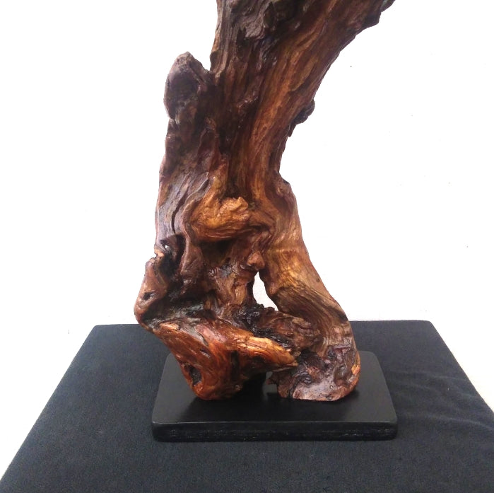 Driftwood Abstract Floor Sculpture Rustic Lodge Decor
