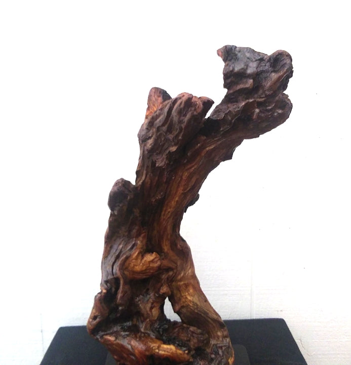 Driftwood Abstract Floor Sculpture Rustic Lodge Decor