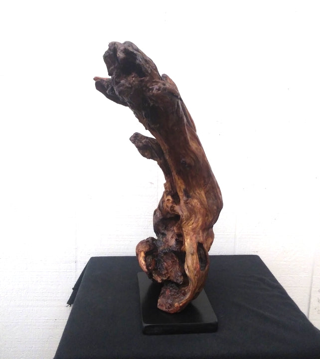 Driftwood Abstract Floor Sculpture Rustic Lodge Decor