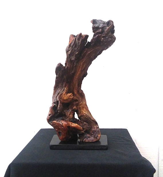 Driftwood Abstract Floor Sculpture Rustic Lodge Decor