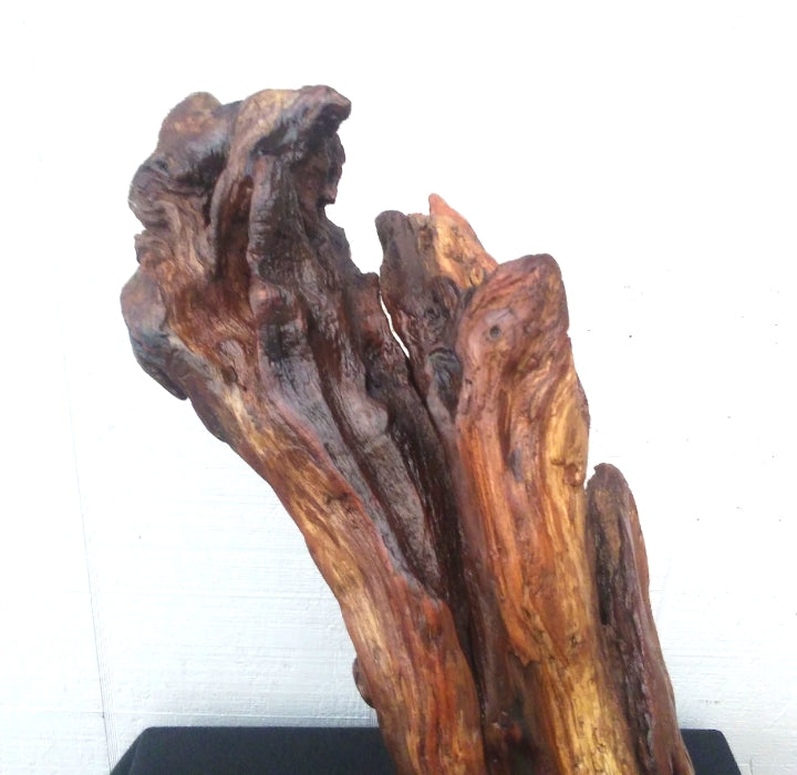 Driftwood Abstract Floor Sculpture Rustic Lodge Decor