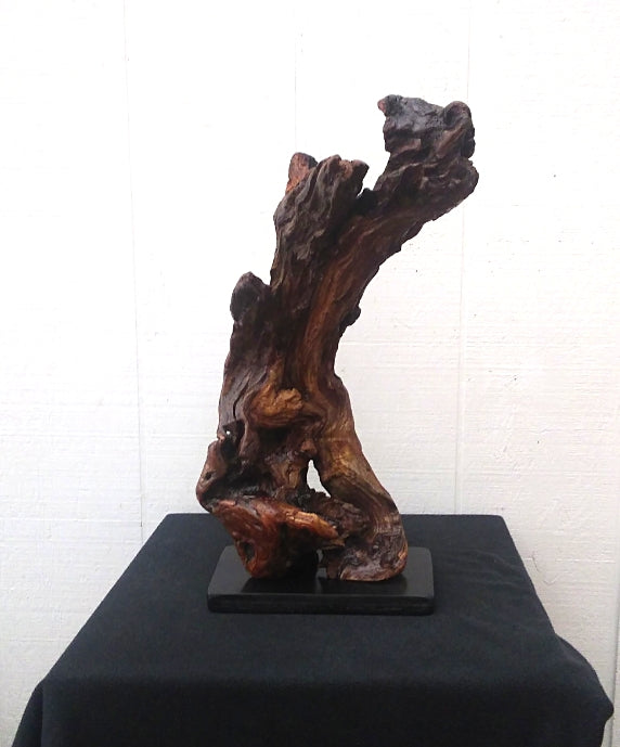 Driftwood Abstract Floor Sculpture Rustic Lodge Decor