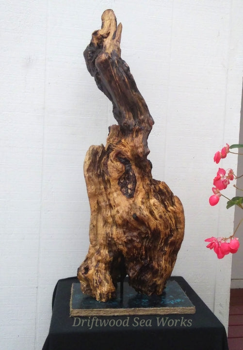 Large Driftwood Floor Sculpture Rustic Statement Piece
