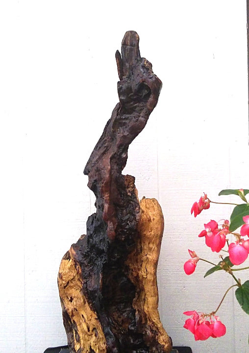 Large Driftwood Floor Sculpture Rustic Statement Piece