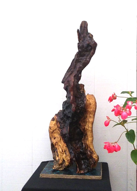 Large Driftwood Floor Sculpture Rustic Statement Piece