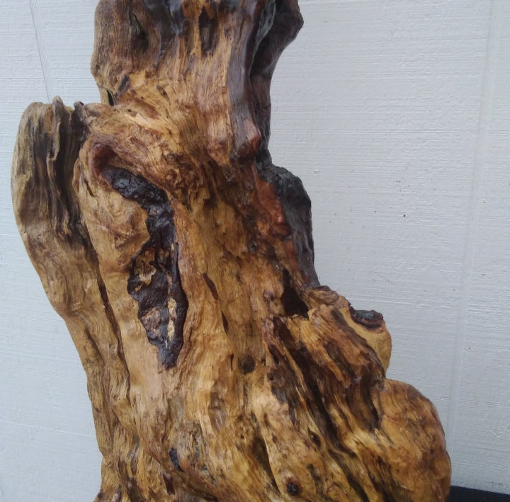 Large Driftwood Floor Sculpture Rustic Statement Piece