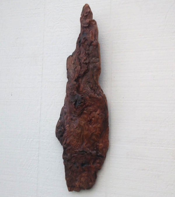 Rustic Wood Wall Sculpture Driftwood Art