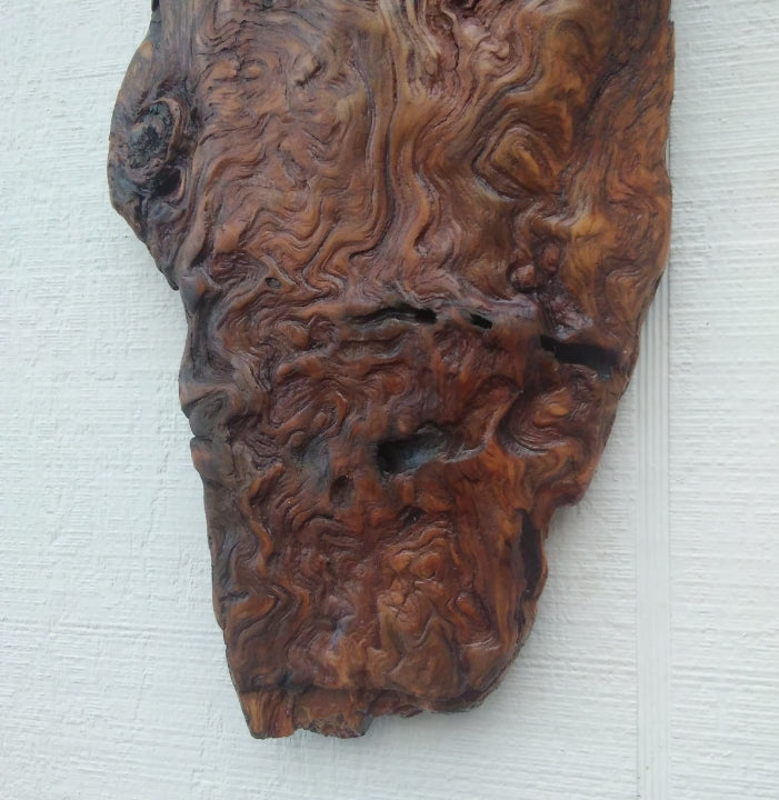 Rustic Wood Wall Sculpture Driftwood Art