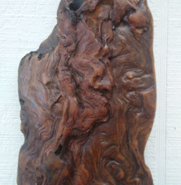 Rustic Wood Wall Sculpture Driftwood Art
