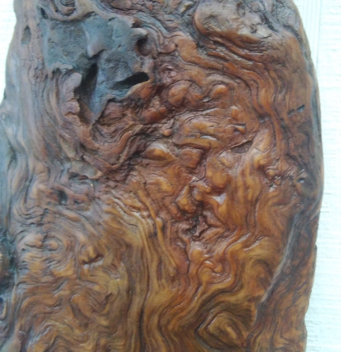Rustic Wood Wall Sculpture Driftwood Art