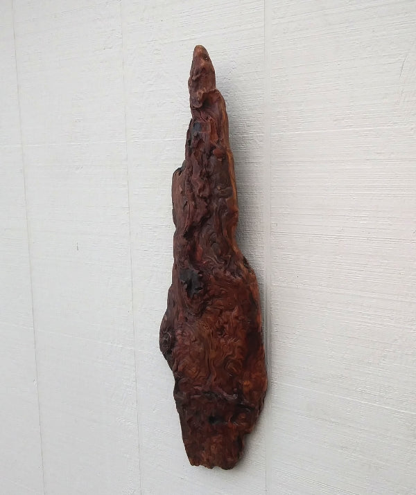 Rustic Wood Wall Sculpture Driftwood Art