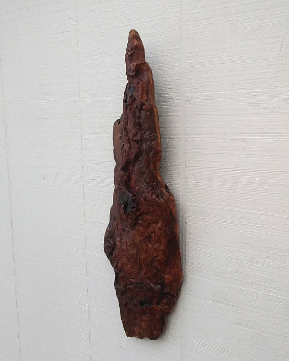 Rustic Wood Wall Sculpture Driftwood Art