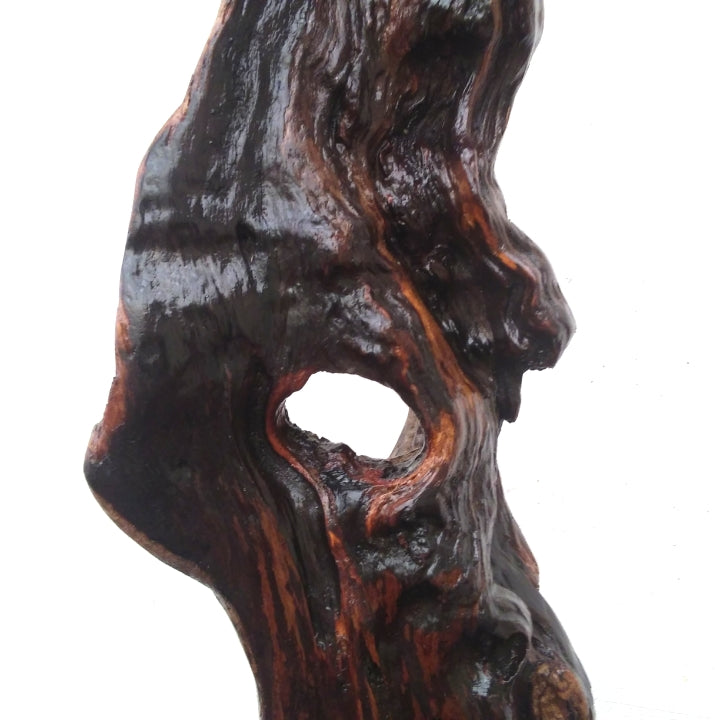 Rustic Driftwood Art Floor Sculpture Abstract Wood Sculpture