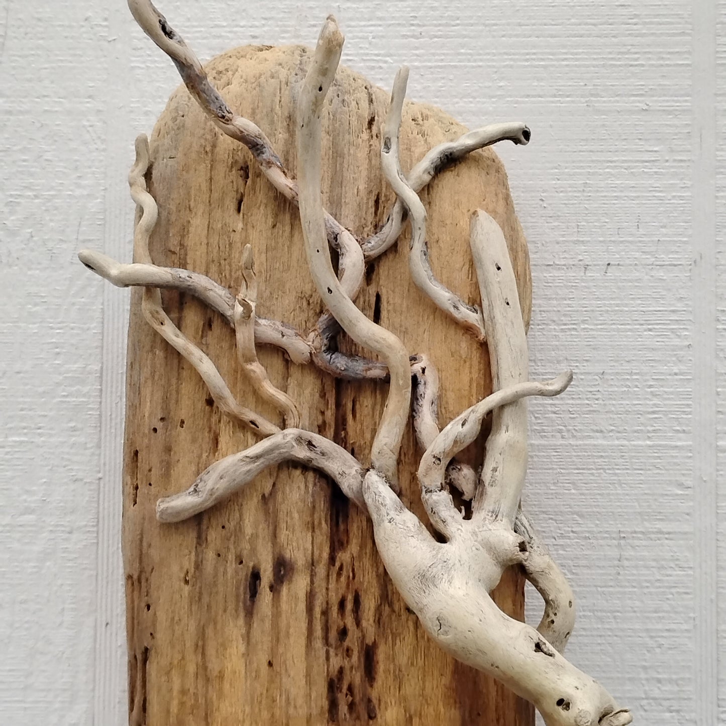 Driftwood Tree Wall Art Beach Cottage Decor