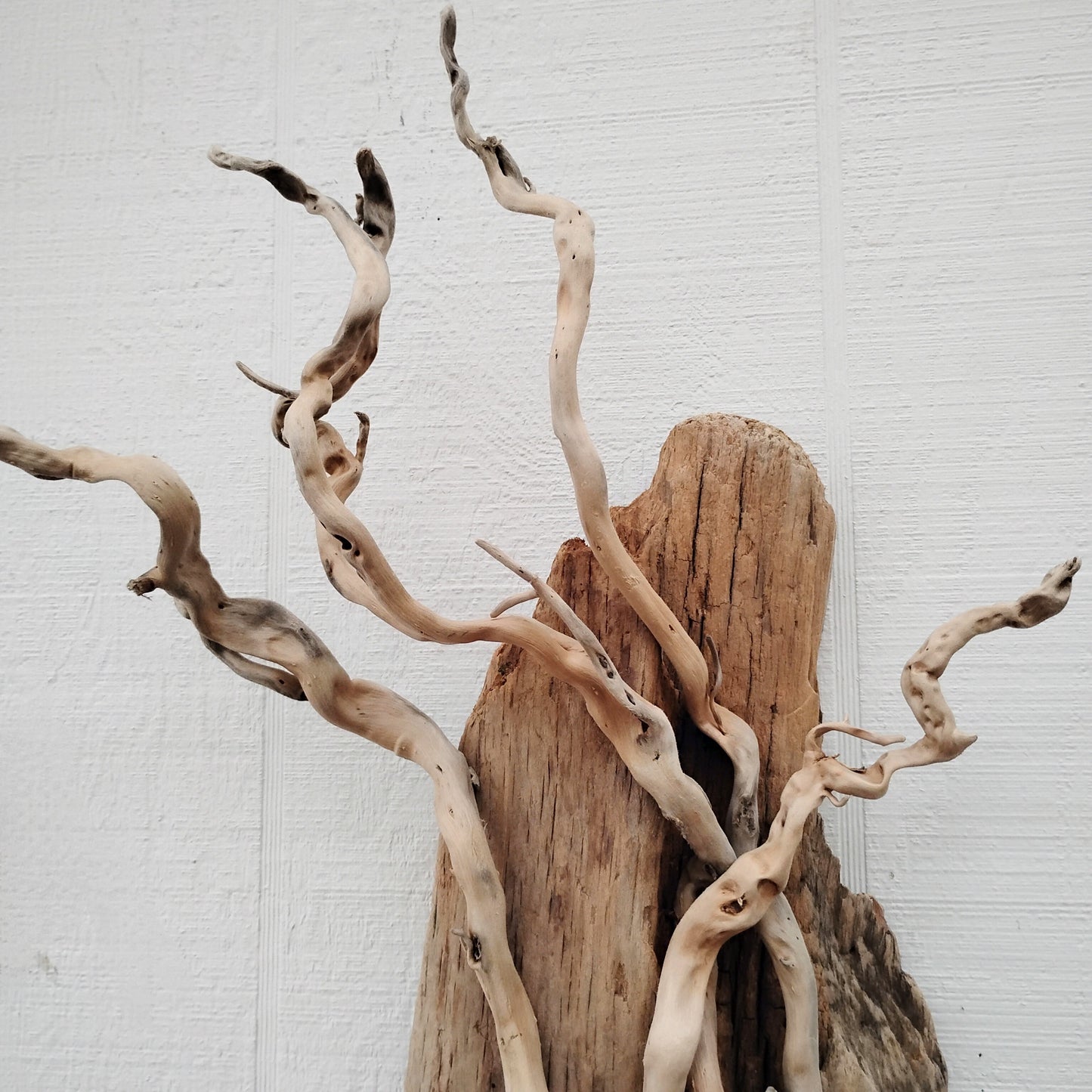Driftwood Art Tree Beach Home Decor Wall Art