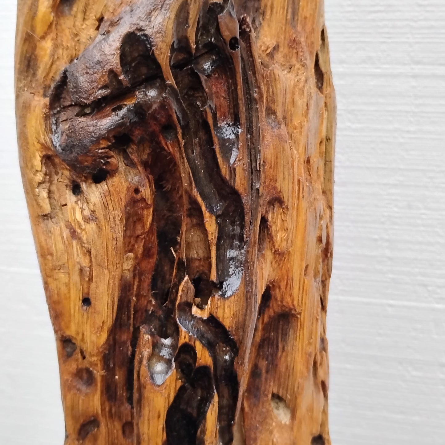 Driftwood Sculpture Rustic Room Decor