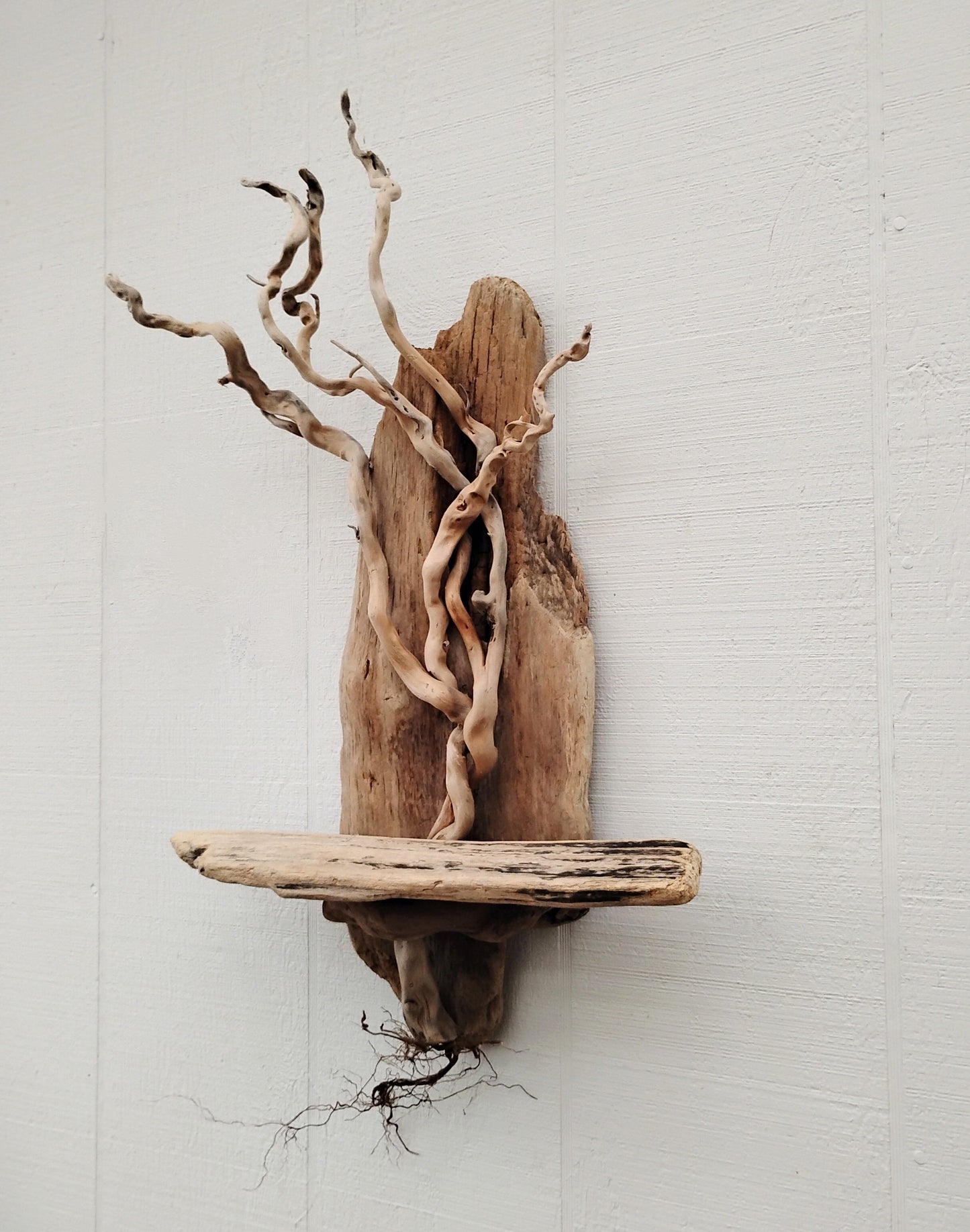Driftwood Art Tree Beach Home Decor Wall Art