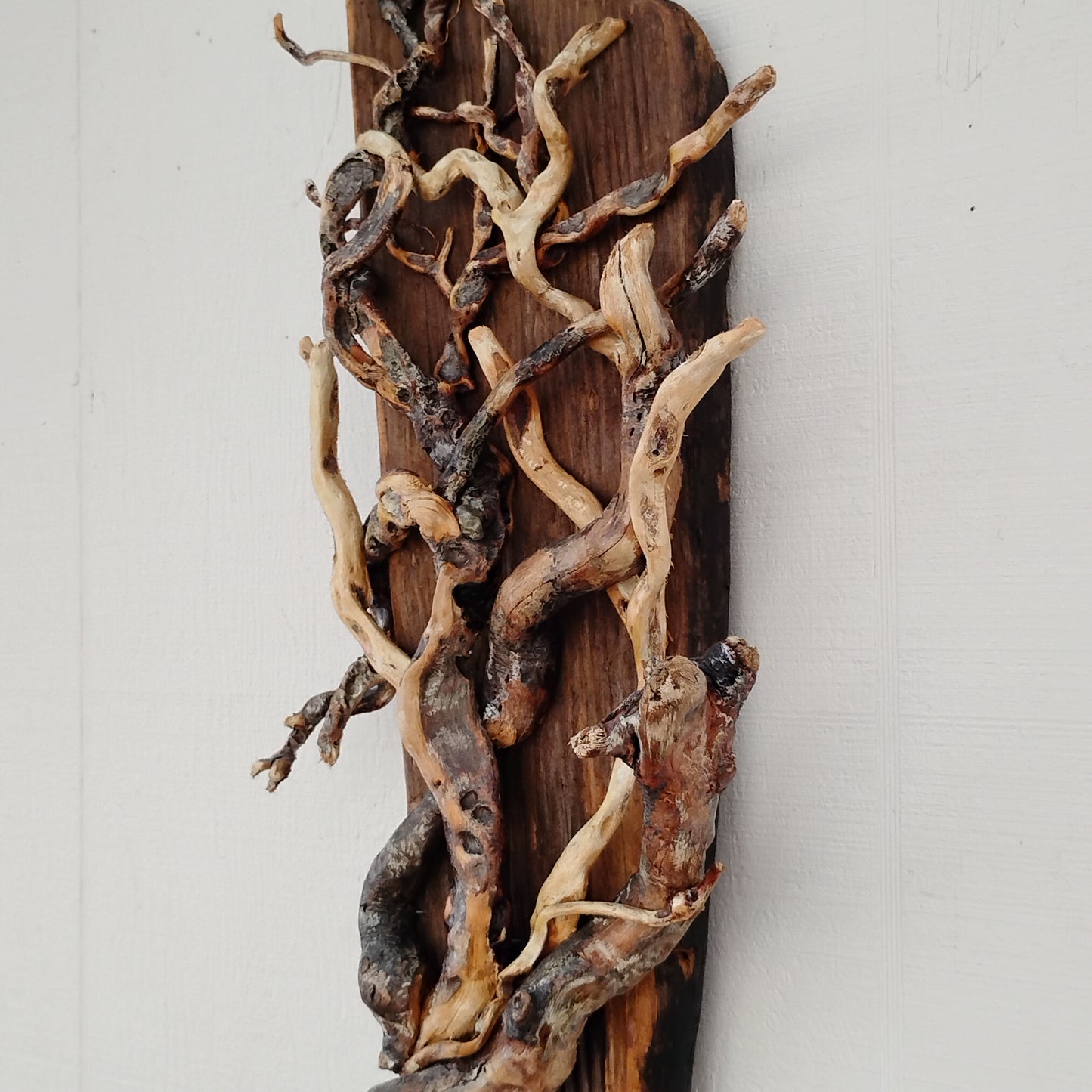 Driftwood Tree Wall Art Beach Inspired Rustic Room Decor