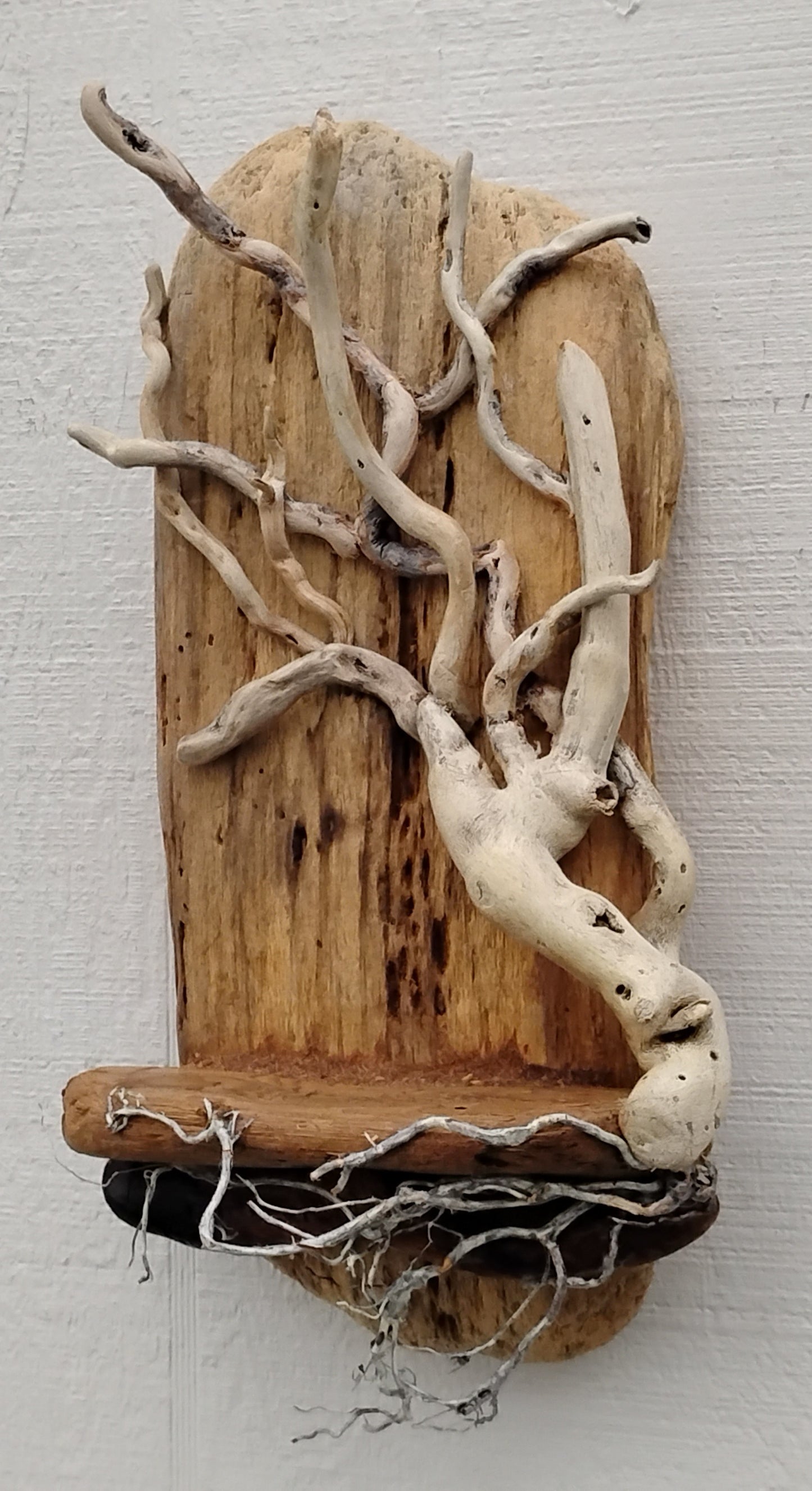 Driftwood Tree Wall Art Beach Cottage Decor