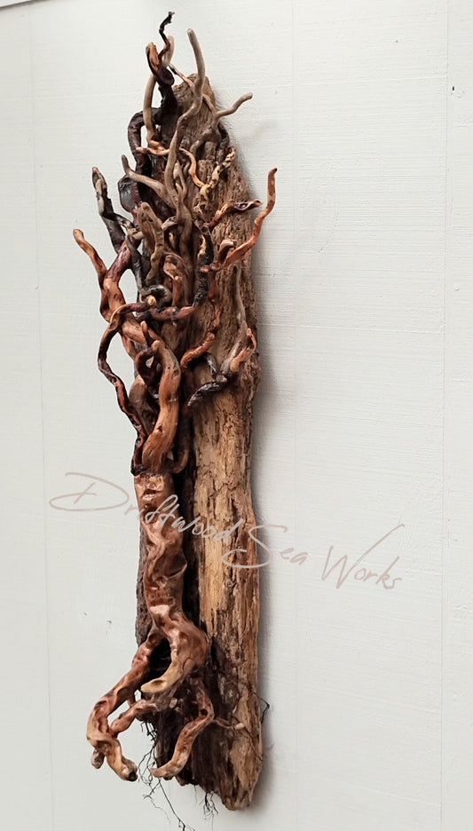Driftwood tree handcrafted with driftwood sticks attached to a long driftwood slab that hangs on the wall. Truly a one of a kind Oregon beach driftwood home decor. Rustic, organic and natural.