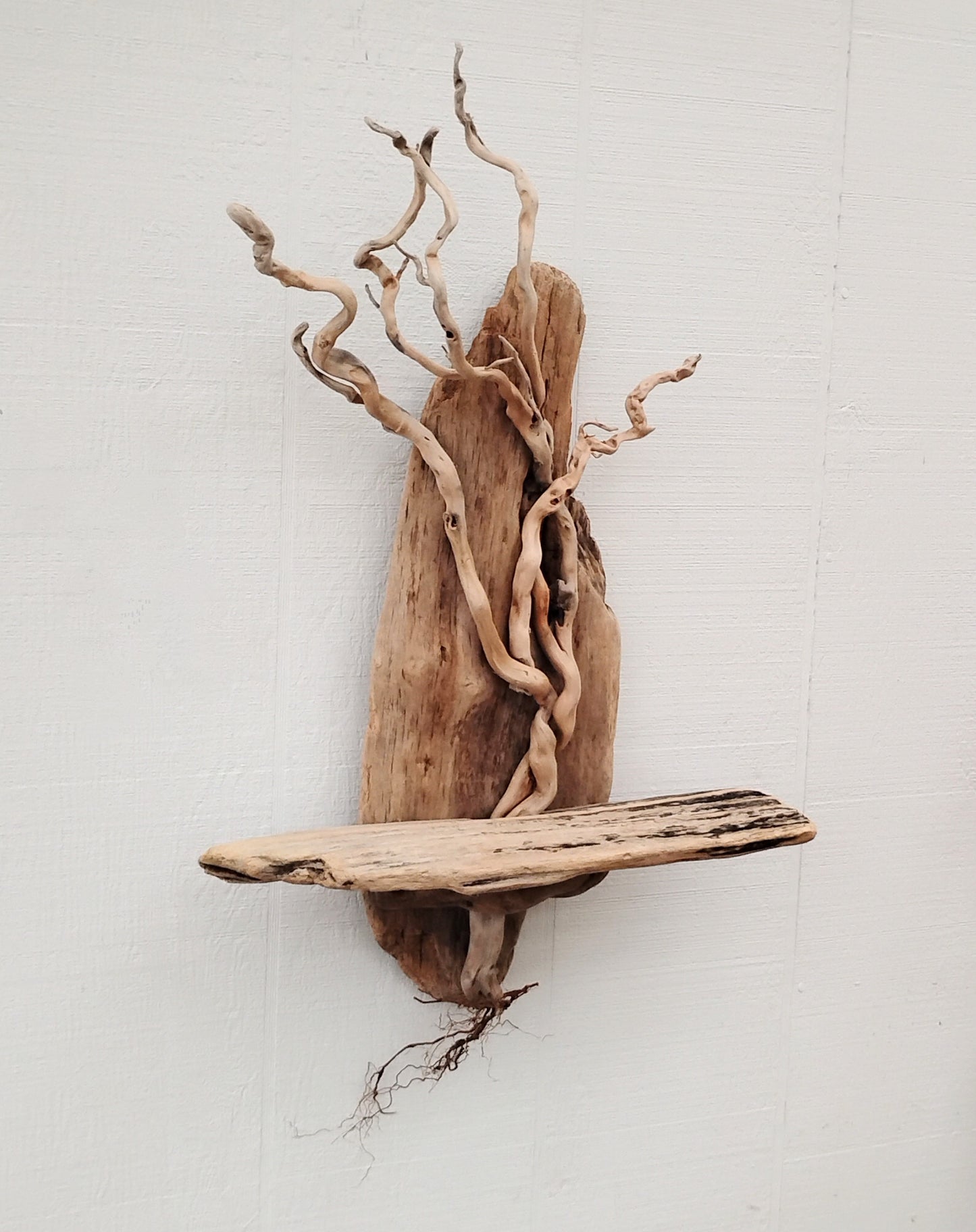 Driftwood Art Tree Beach Home Decor Wall Art