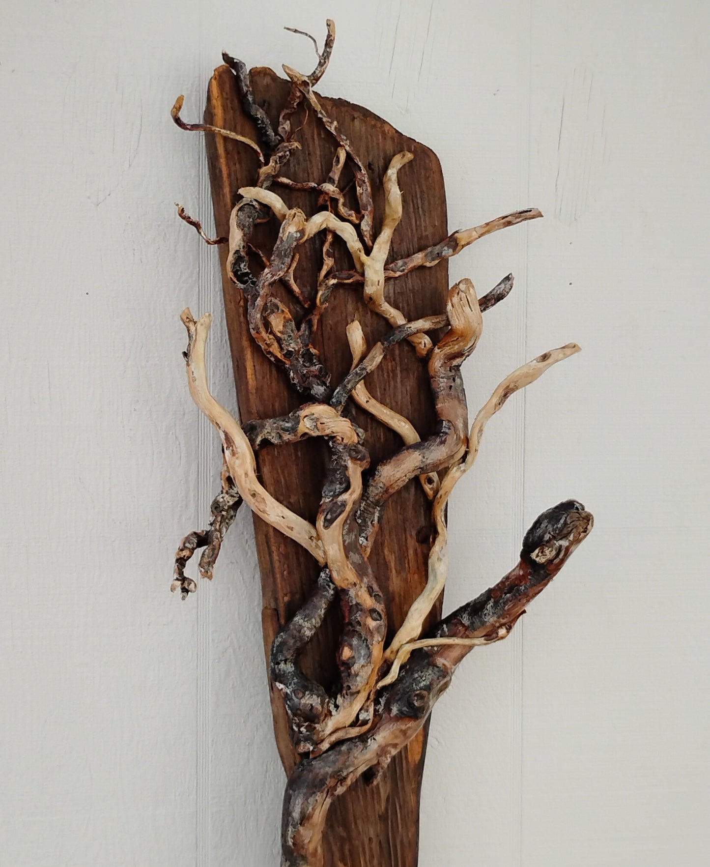 Driftwood Tree Wall Art Beach Inspired Rustic Room Decor