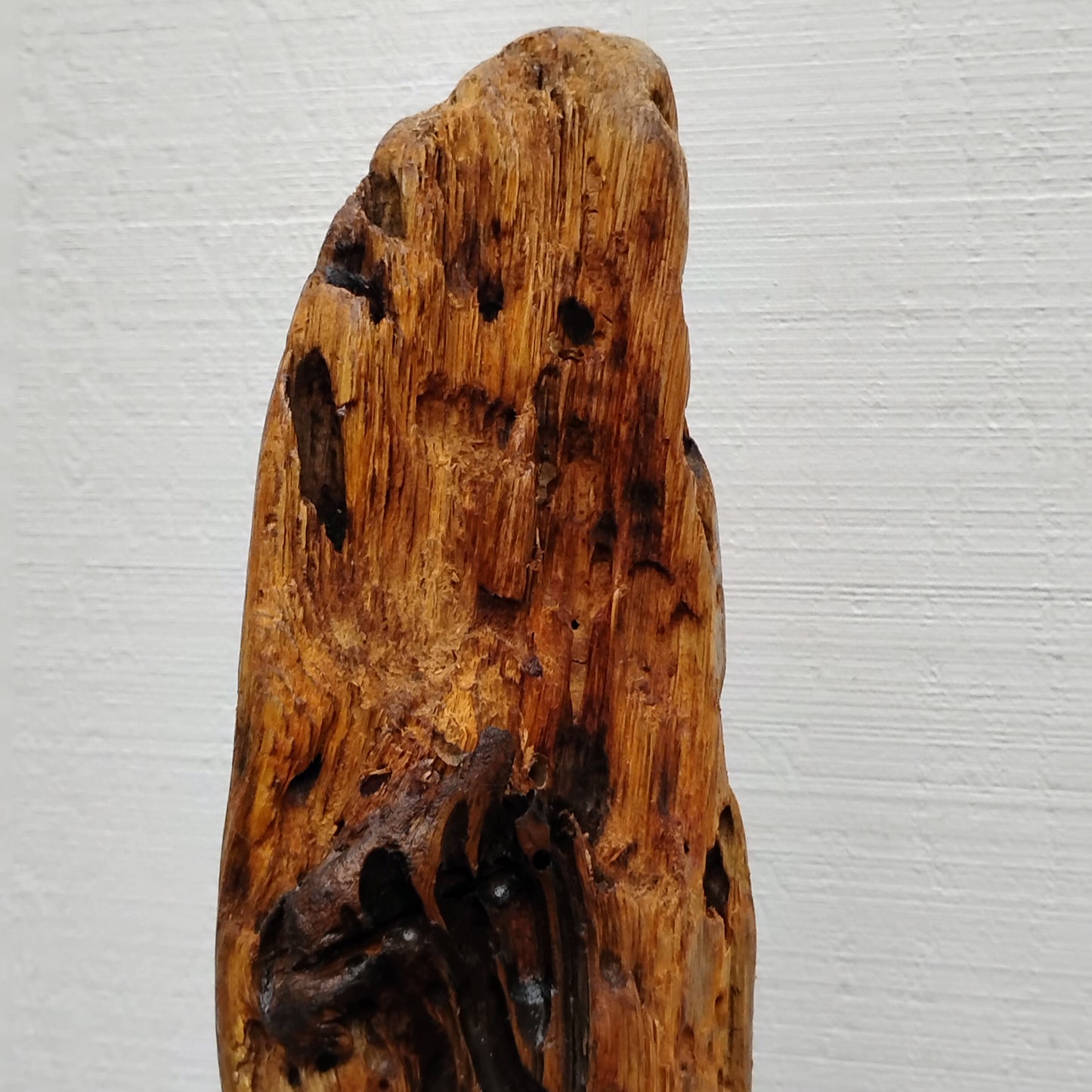 Driftwood Sculpture Rustic Room Decor