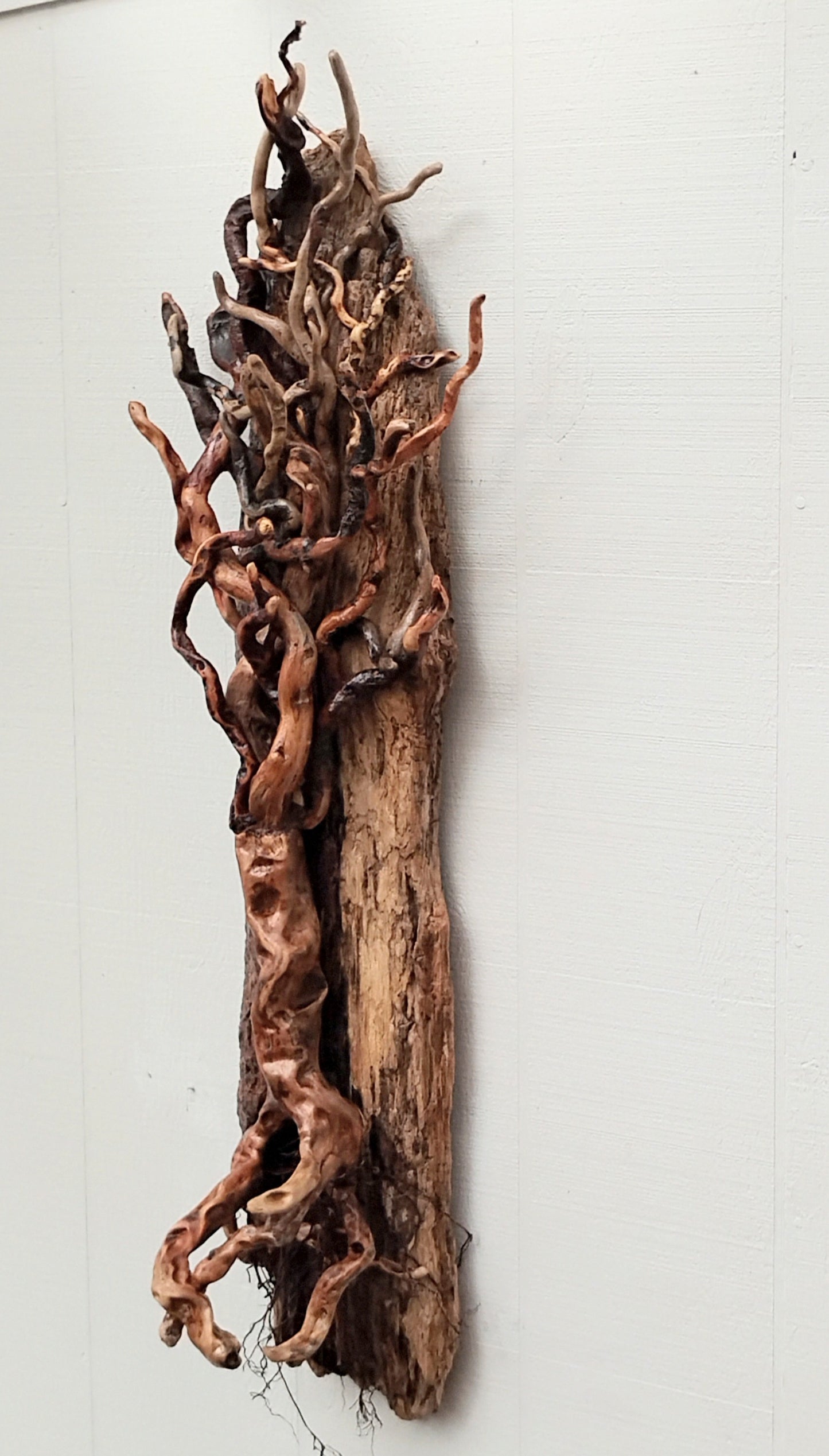 Large Leafless Driftwood Tree Wall Hanging