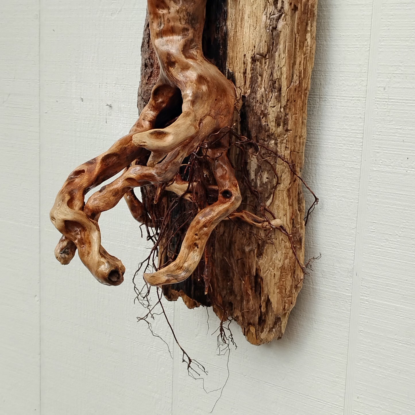 Large Leafless Driftwood Tree Wall Hanging