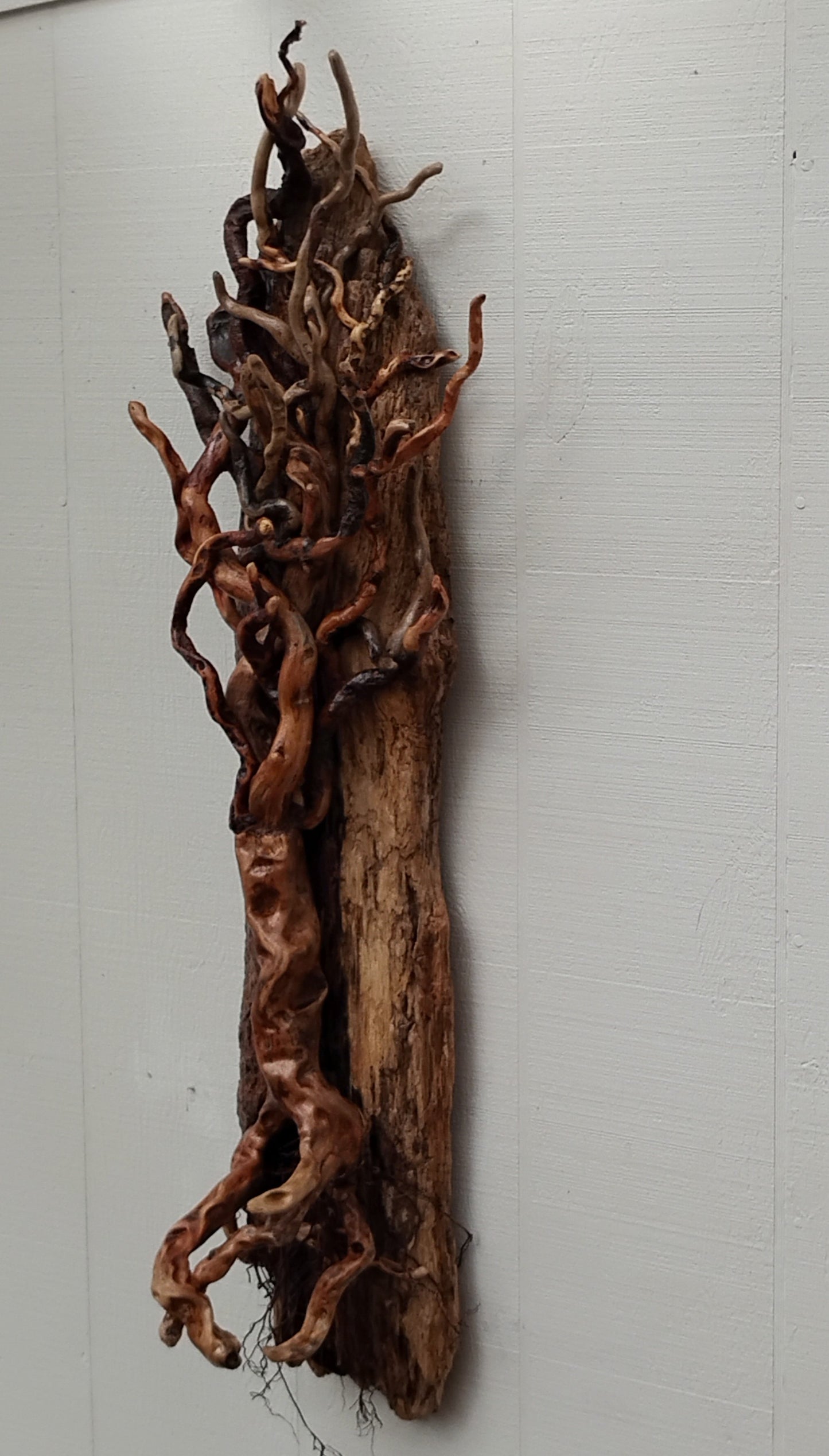 Large Leafless Driftwood Tree Wall Hanging