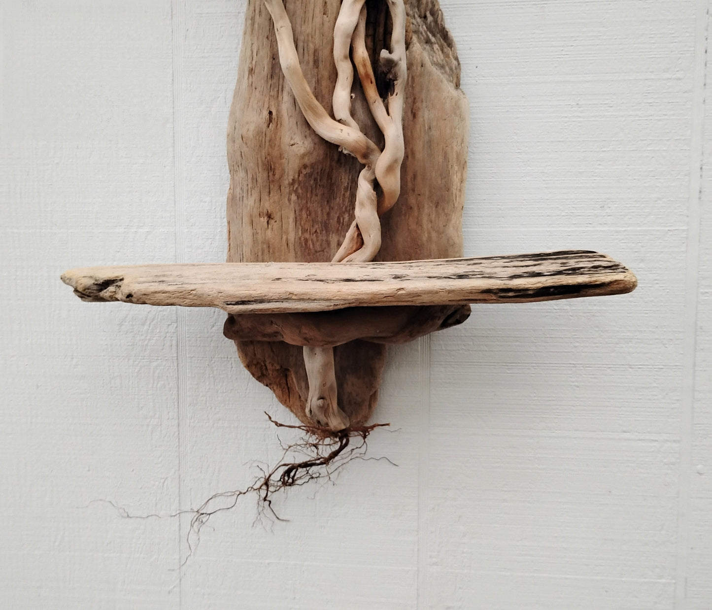Driftwood Art Tree Beach Home Decor Wall Art