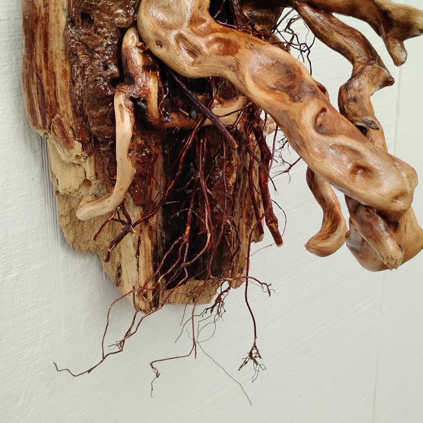 Large Leafless Driftwood Tree Wall Hanging