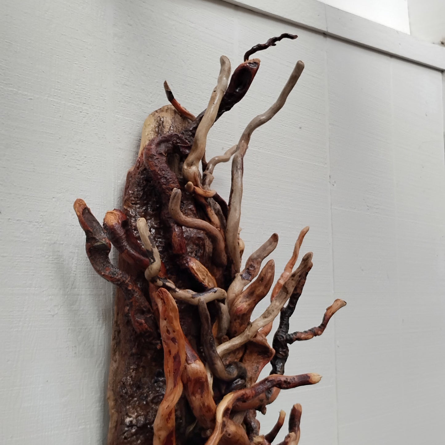 Large Leafless Driftwood Tree Wall Hanging