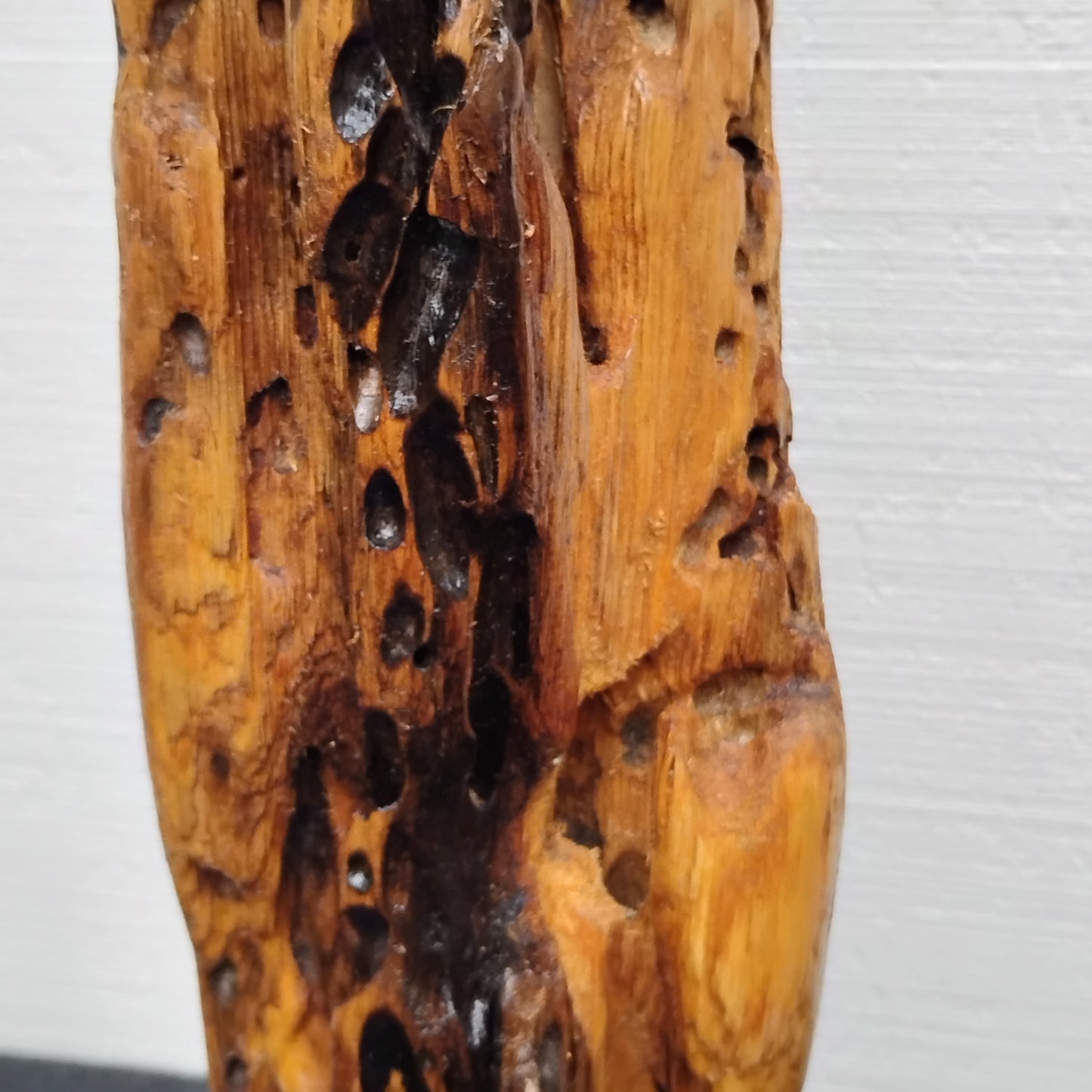 Driftwood Sculpture Rustic Room Decor