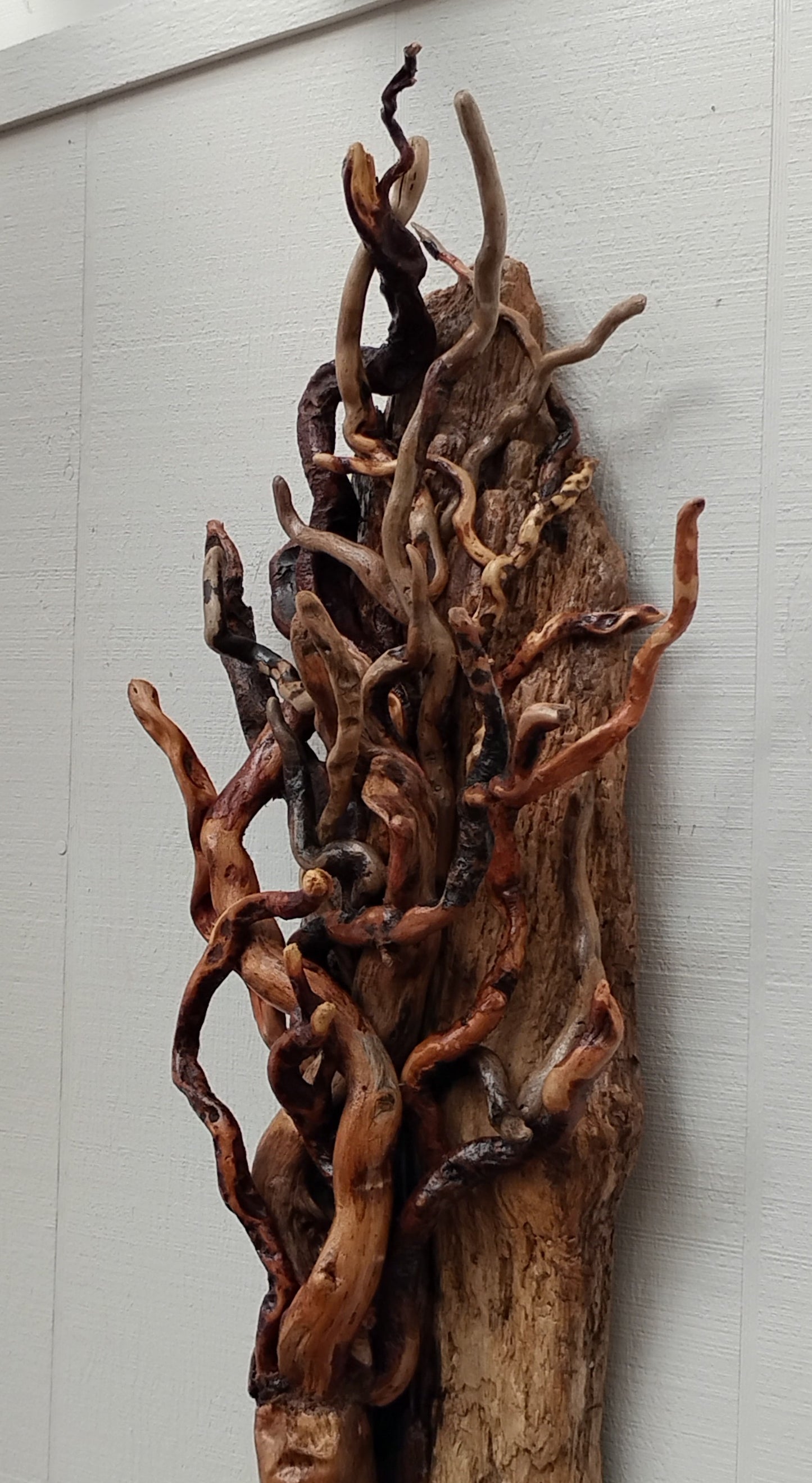 Large Leafless Driftwood Tree Wall Hanging