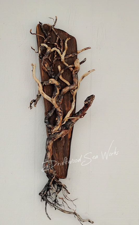 Driftwood Tree Wall Art Beach Inspired Rustic Room Decor