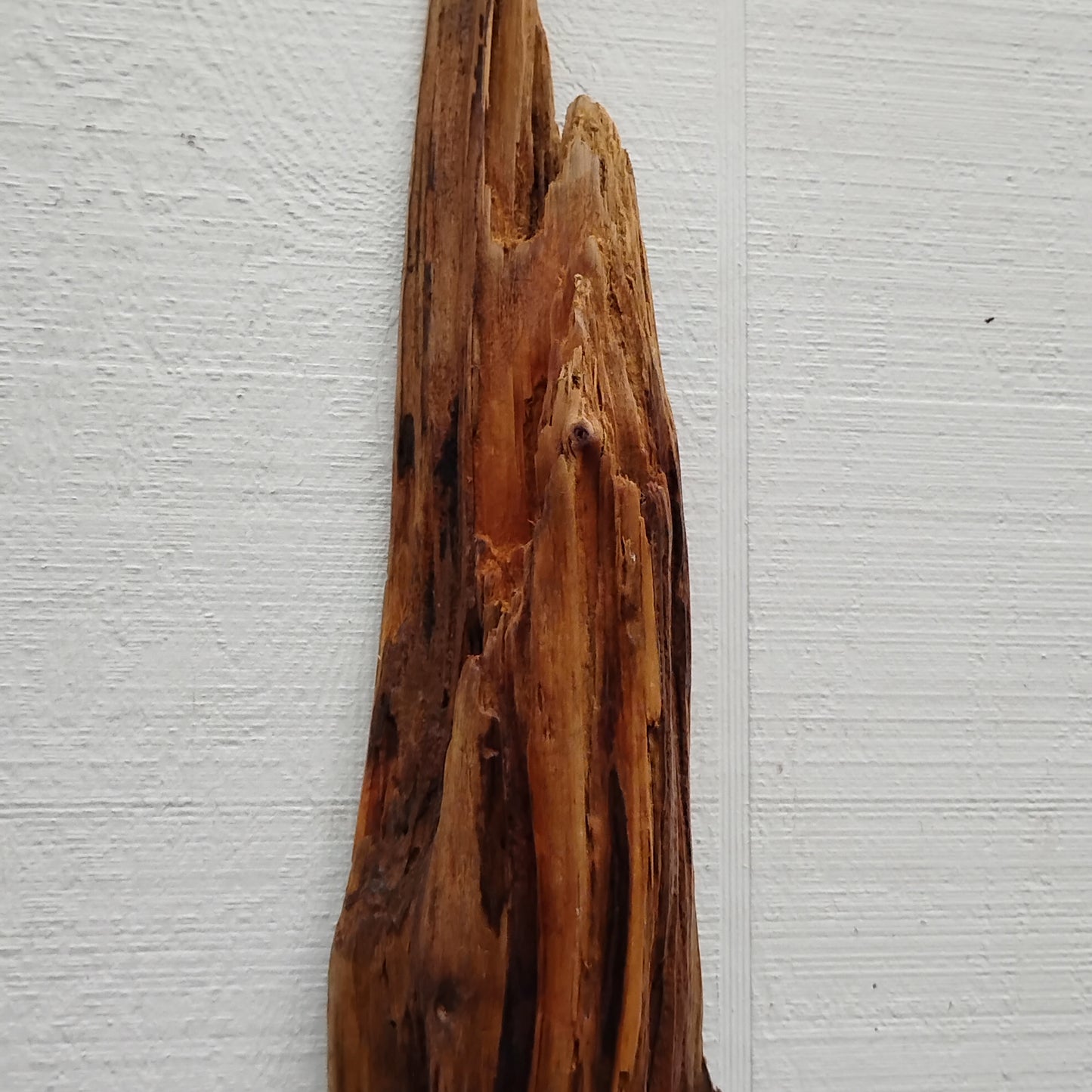 Wall Hanging Driftwood Branch