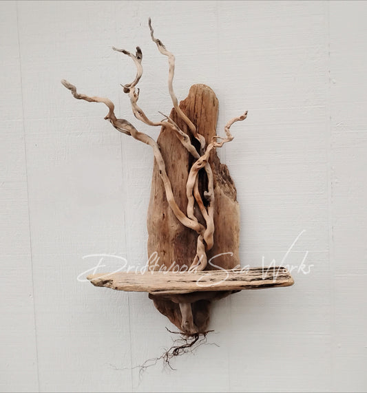 Driftwood Art Tree Beach Home Decor Wall Art