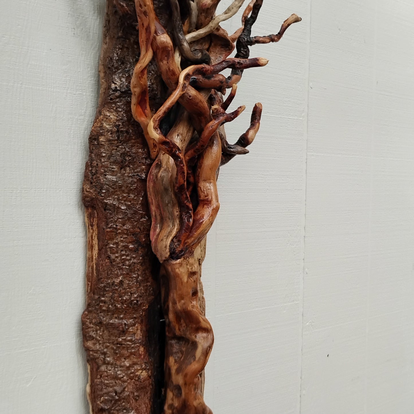 Large Leafless Driftwood Tree Wall Hanging