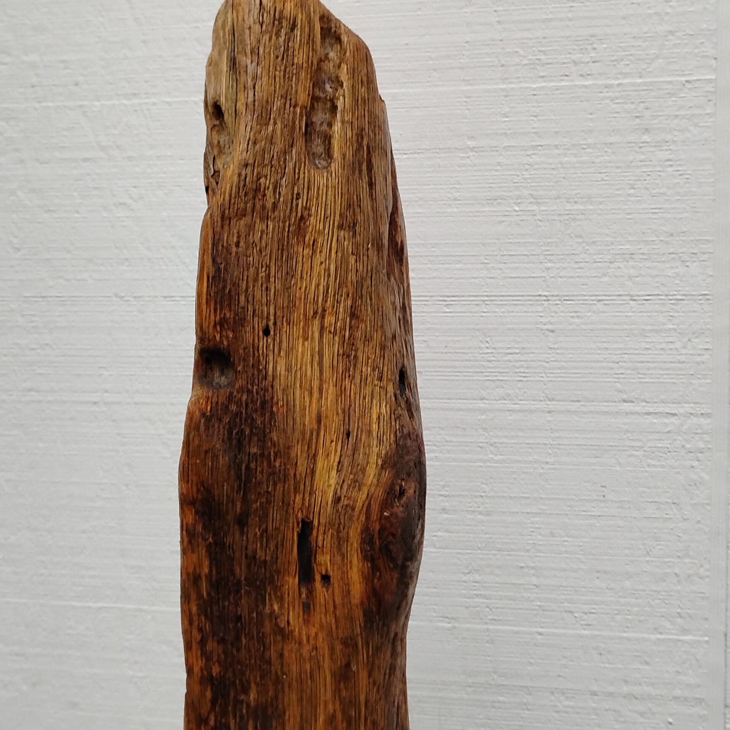 Driftwood Sculpture Rustic Room Decor
