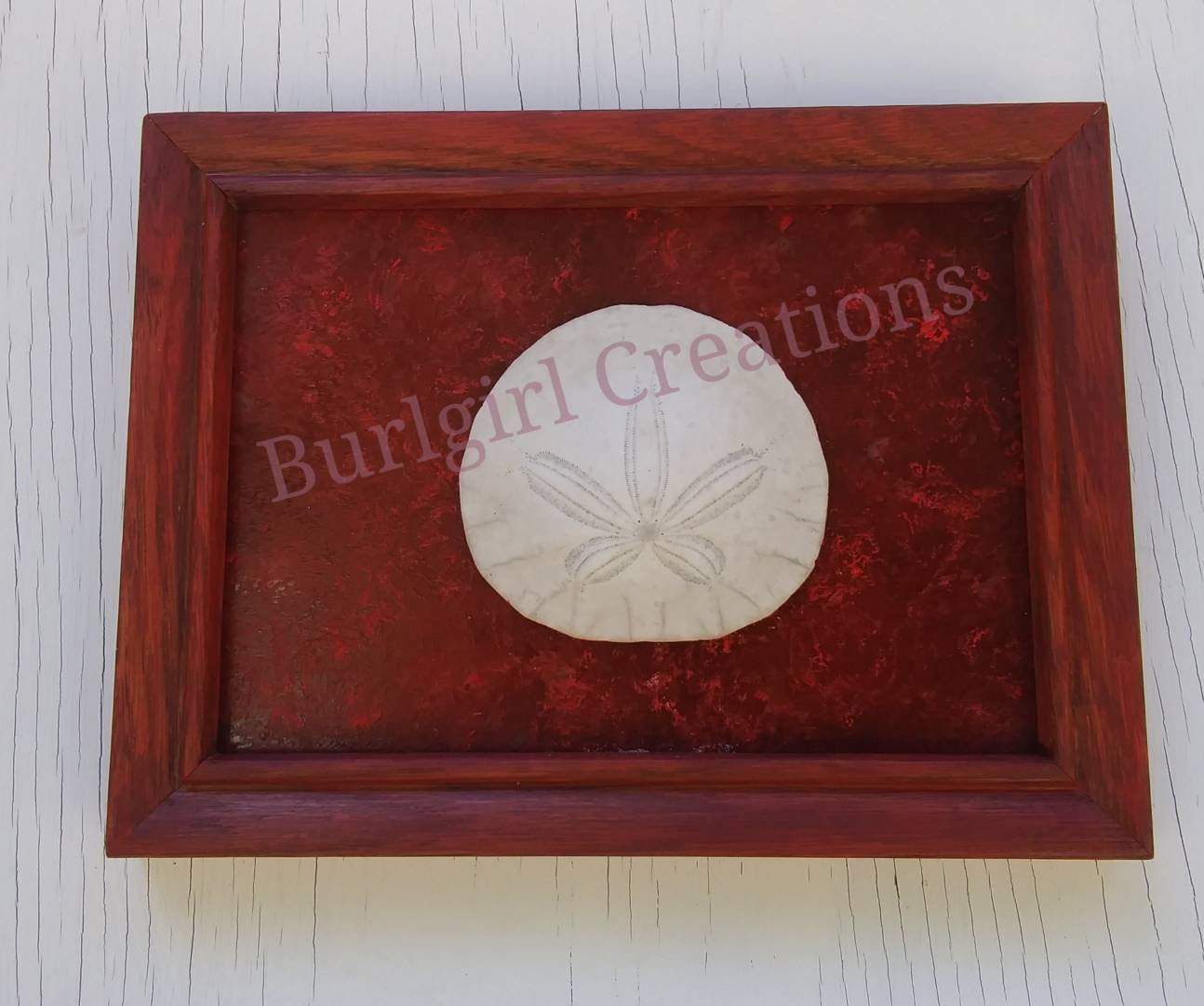 5X7 Beach Decor Frame With Real Sand Dollar