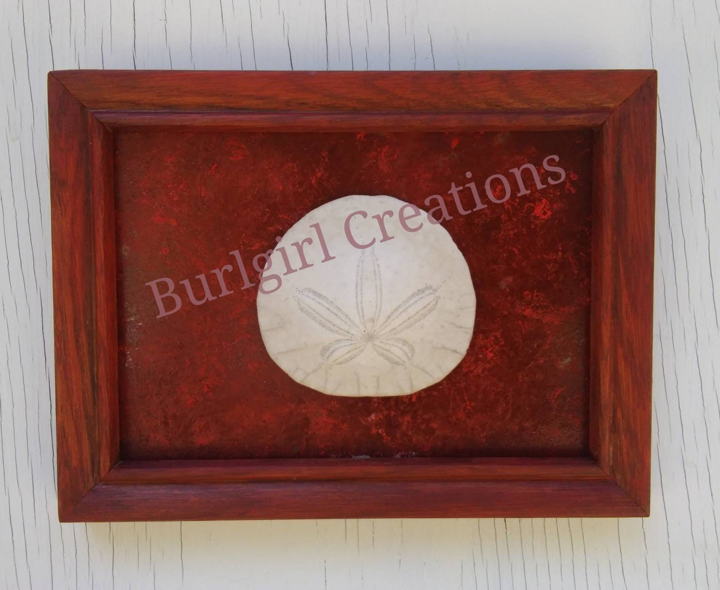 5X7 Beach Decor Frame With Real Sand Dollar