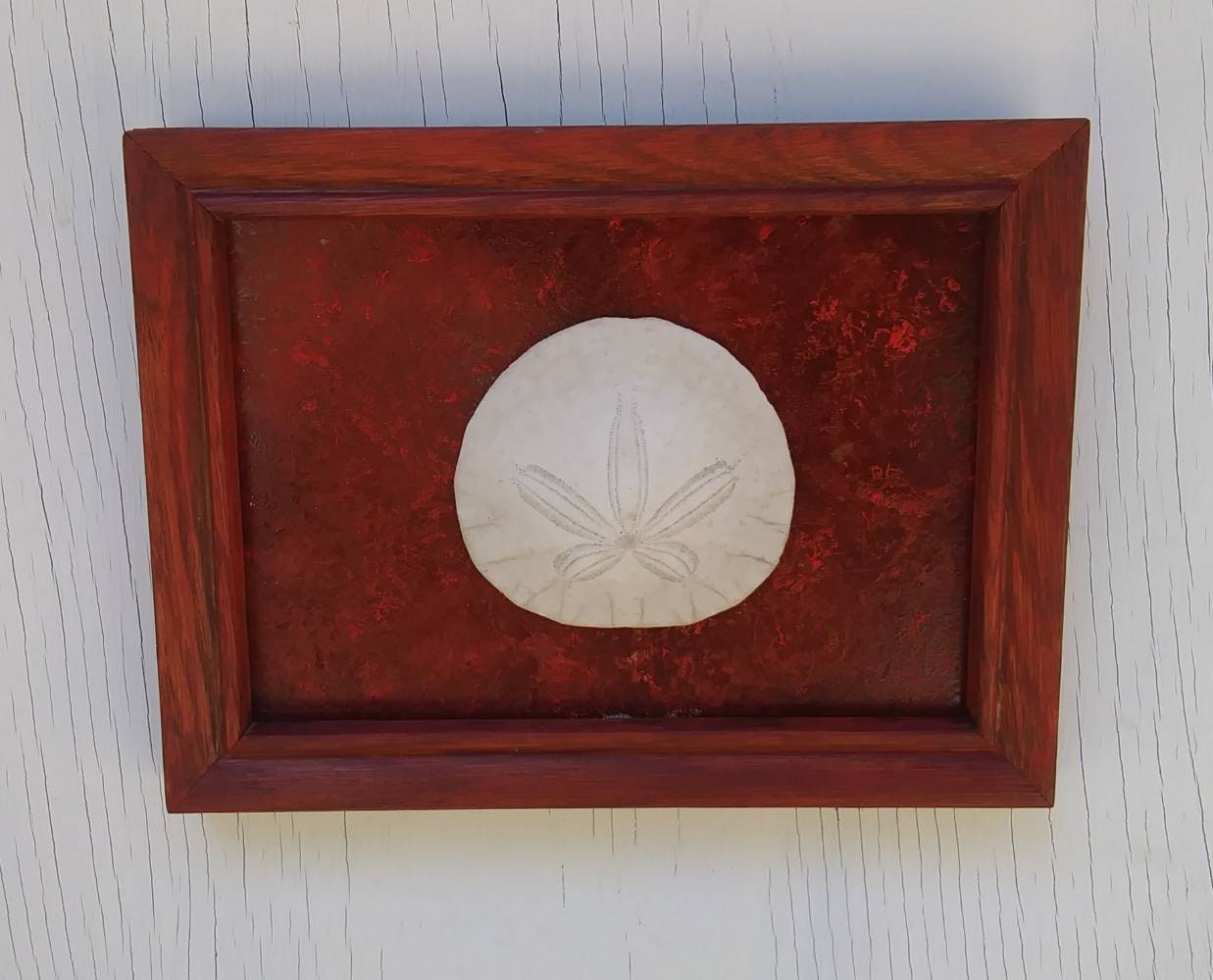 5X7 Beach Decor Frame With Real Sand Dollar