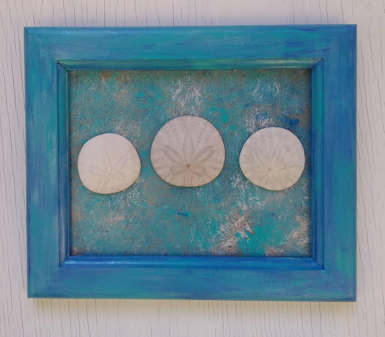 Beach Bathroom Sand Dollars In Blue 8X10 Frame Real Oregon Sand Dollars
