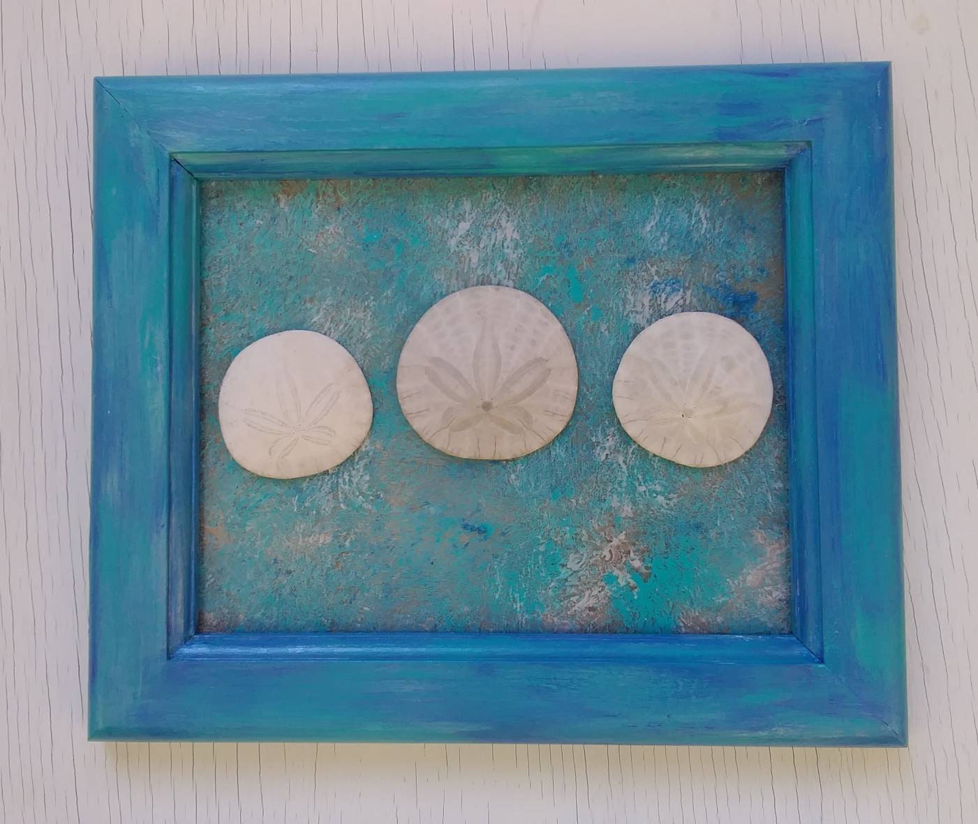 Beach Bathroom Sand Dollars In Blue 8X10 Frame Real Oregon Sand Dollars
