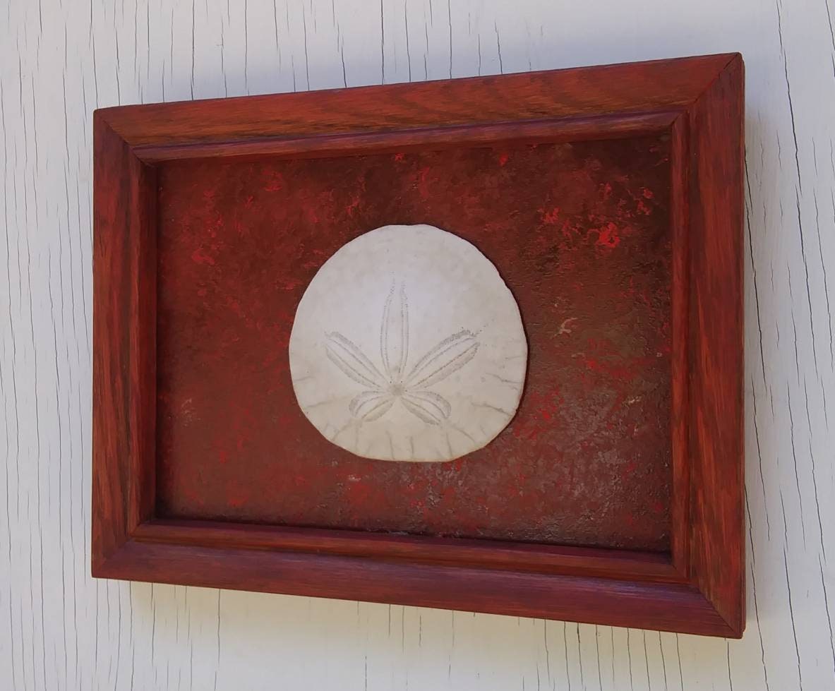 5X7 Beach Decor Frame With Real Sand Dollar