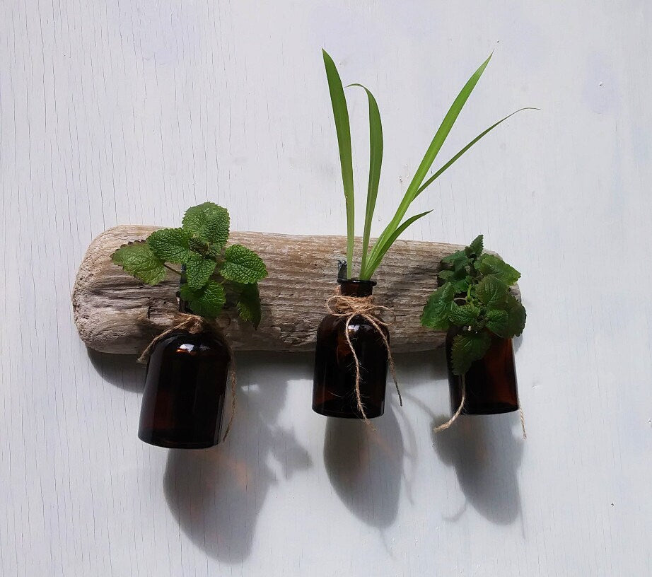 Rustic Single Flower Vases Driftwood Wall Hanging Bottle Vases