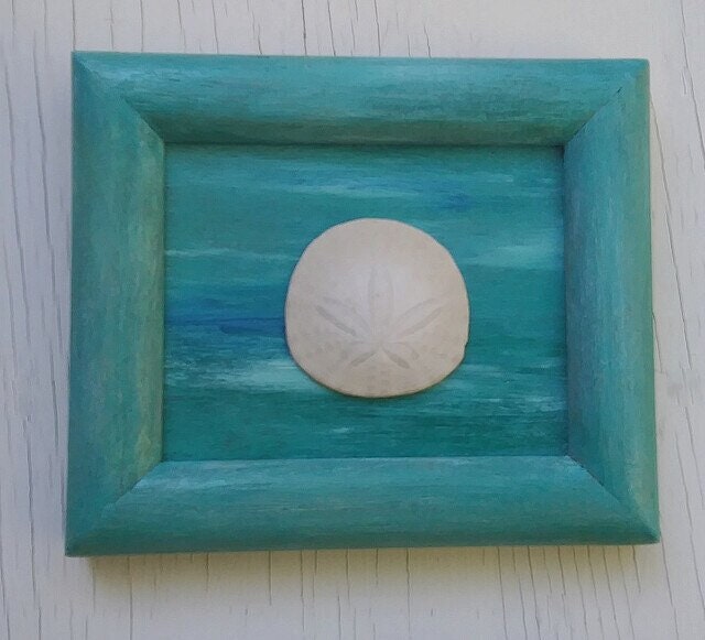 5X7 Beach Decor Blue Green Frame With Real Oregon Sand Dollar