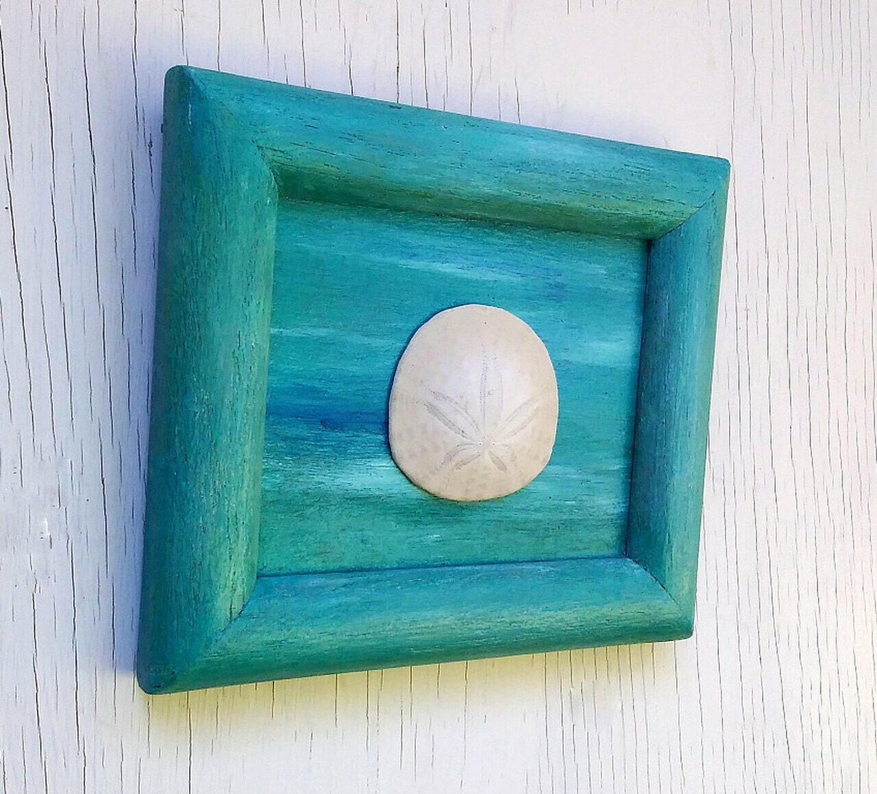 5X7 Beach Decor Blue Green Frame With Real Oregon Sand Dollar
