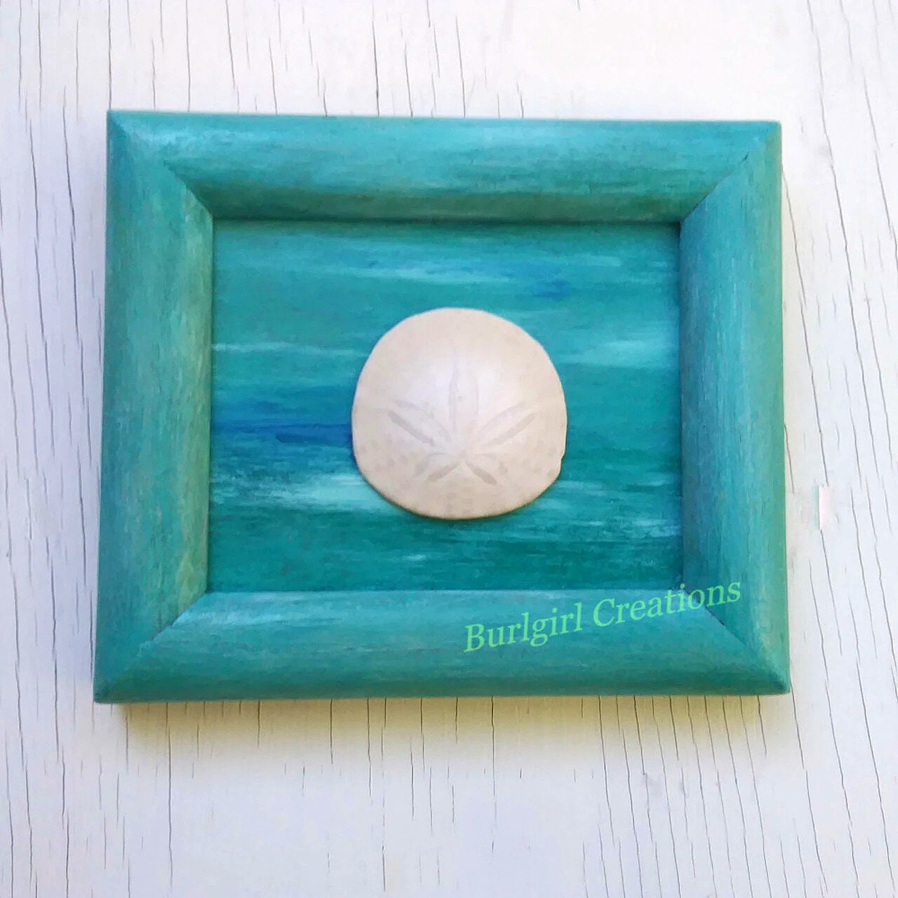 5X7 Beach Decor Blue Green Frame With Real Oregon Sand Dollar